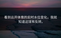 看到<strong>云开体育</strong>的实时水位变化，我就知道这球有反转。